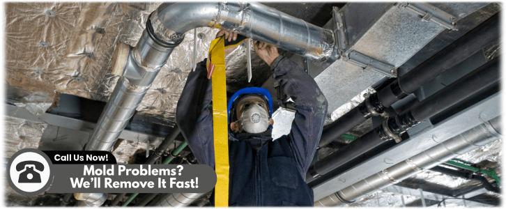 Air Duct Mold Removal in Irving TX
