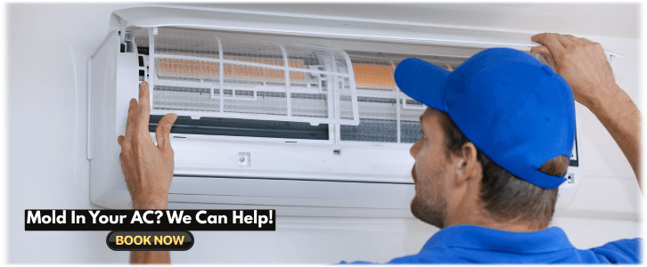 HVAC Mold Removal Irving TX